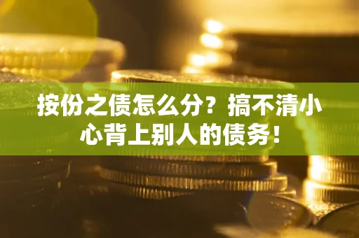 武汉按份之债怎么分?搞不清小心背上别人的债务! 武汉按份之债怎么分?搞不清小心背上别人的债务!